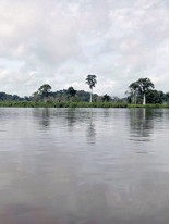 L’ADNe, une révolution dans les eaux du Gabon